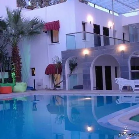 Hotell Alvin 3*
