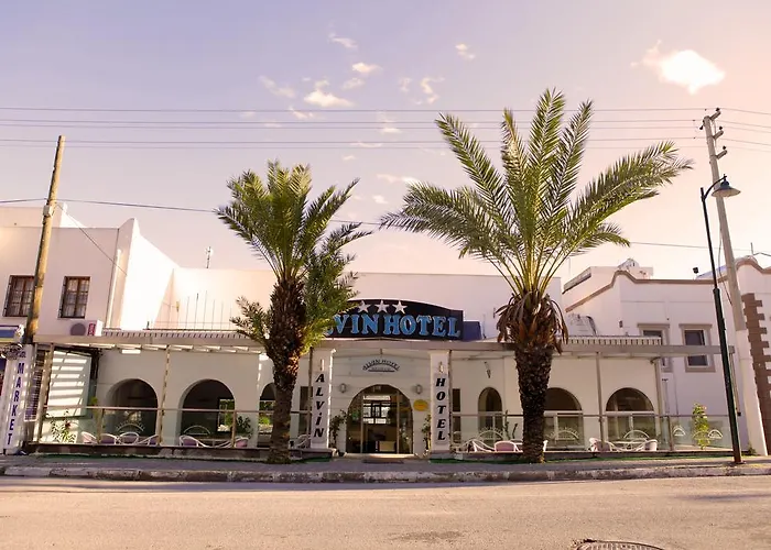 Alvin Hotel 3*