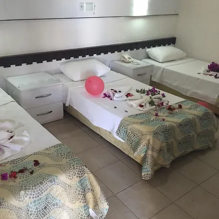 Alvin Hotel 3*