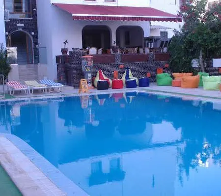 Alvin Hotell 3*